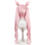 hololive ホロライブ 博衣こより メイド コスプレウィッグ コスプレウィッグ 3