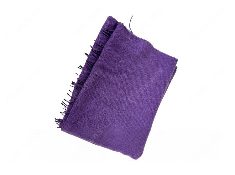 Fate/stay night アルトリア・ペンドラゴン(セイバー) 私服 冬服 コスプレ衣装-6