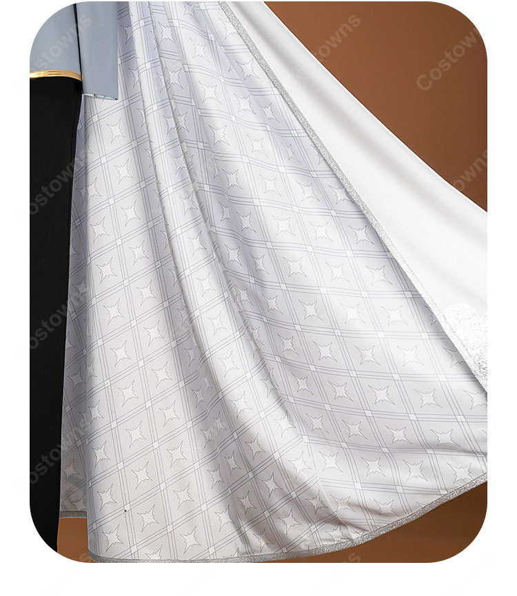 ディズニー ツイステッドワンダーランド シルバー  夜明けの甲冑 コスプレ衣装-7