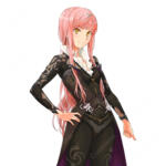 Fate/Grand Order ノクナレア コスプレウィッグ FGO 耐熱 高品質 かつら COSTOWNS
