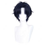 ヲタクに恋は難しい 二藤宏嵩 コスプレウィッグ ネット付き かつら 耐熱 アニメ風 COSTOWNS