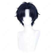 ヲタクに恋は難しい 二藤宏嵩 コスプレウィッグ ネット付き かつら 耐熱 アニメ風 COSTOWNS