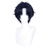 ヲタクに恋は難しい 二藤宏嵩 コスプレウィッグ ネット付き かつら 耐熱 アニメ風 COSTOWNS(202×202)