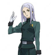 機動戦士ガンダム00 ソーマ・ピーリス コスプレウィッグ 耐熱 高品質 シルバーパープル ロング COSTOWNS