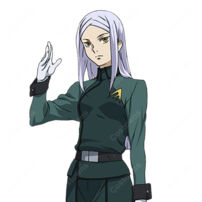 機動戦士ガンダム00 ソーマ・ピーリス コスプレウィッグ 耐熱 高品質 シルバーパープル ロング COSTOWNS(コスプレウィッグ)