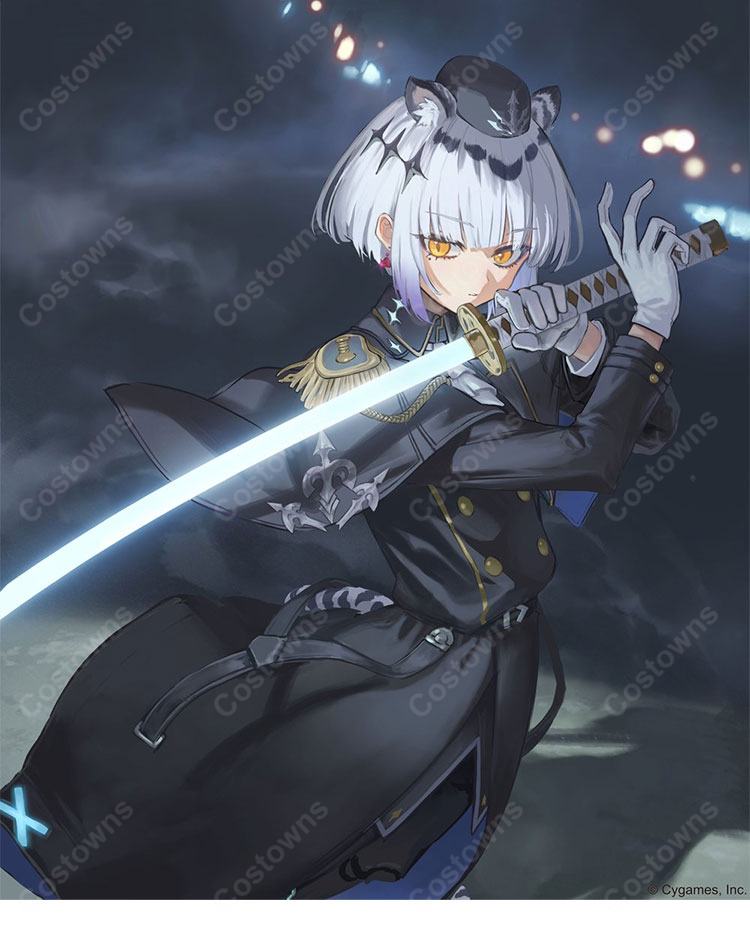 Shadowverse 静寂のアナテマ・ギルダリア コスプレウィッグ 耐熱 グラデーション シャドウバース ギルダリア ウィッグネット付き COSTOWNS-5