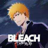 BLEACH