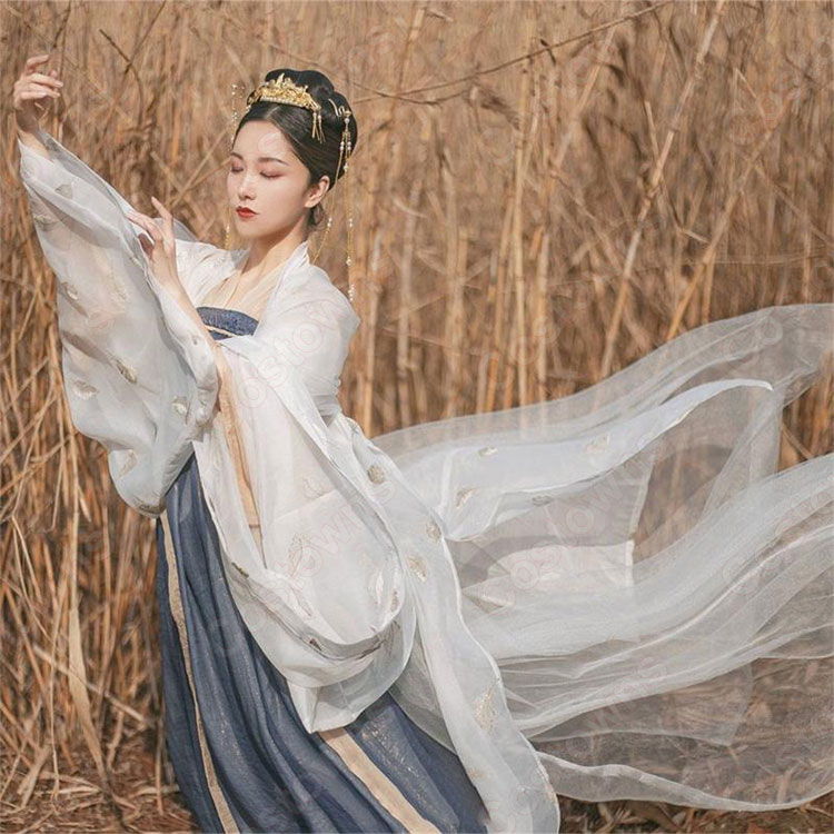 漢服 襦裙 コスプレ衣装 中国伝統衣装 古風 可愛い 中国時代劇 学園祭 パーティー 演出服 おしゃれコス服 羽刺繍付き 1