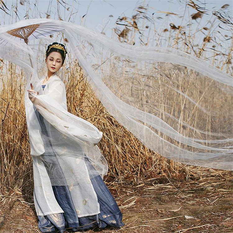 漢服 襦裙 コスプレ衣装 中国伝統衣装 古風 可愛い 中国時代劇 学園祭 パーティー 演出服 おしゃれコス服 羽刺繍付き 3