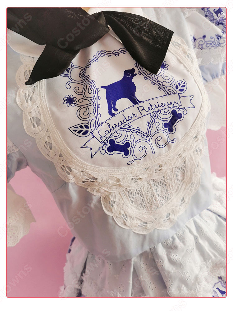 AKB48 ラブラドール・レトリバー 演出服 ライブ衣装 コスプレ