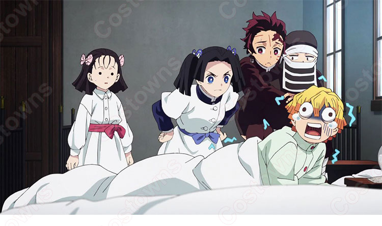 神崎アオイ (かんざきあおい) コスプレウィッグ 『鬼滅の刃』の登場人物のかつら-1