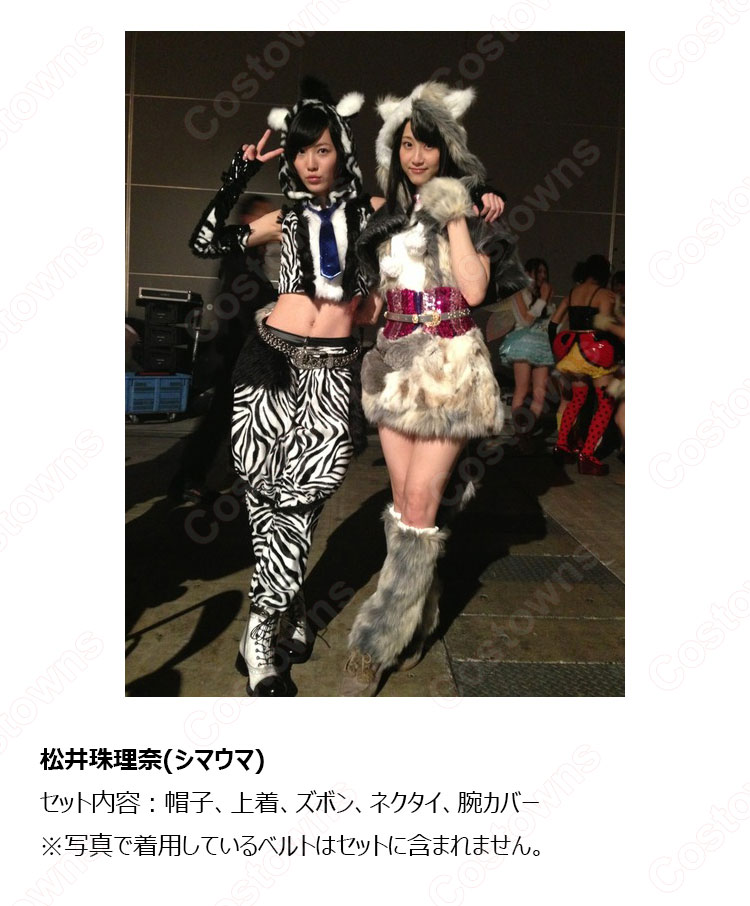 AKB48 ヘビーローテーション 動物の着ぐるみ コスプレ衣装