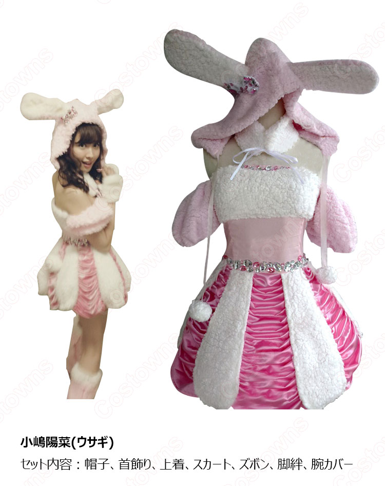 AKB48 ベストアーティスト2012 「ヘビーローテーション(Heavy Rotation)」 動物の着ぐるみ コスプレ衣装-6