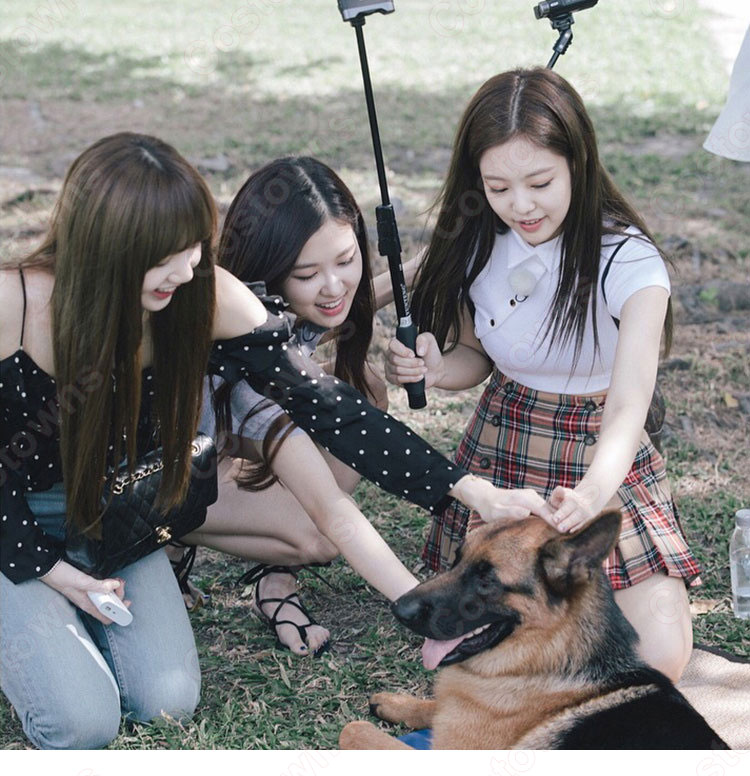 BLACKPINK ジェニー 風 クロップ・トップ(半袖/黒) - Costowns BLACKPINK ジェニー 風 クロップ・トップ(半袖/黒) - Costowns