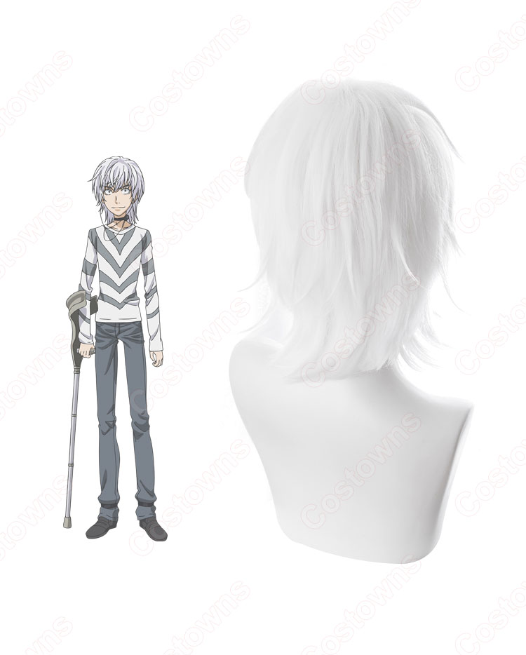一方通行(アクセラレータ) コスプレウィッグ 『とある魔術の禁書目録Ⅲ(とあるまじゅつのインデックス)』 白色 耐熱かつら cosplay wig 通販-4