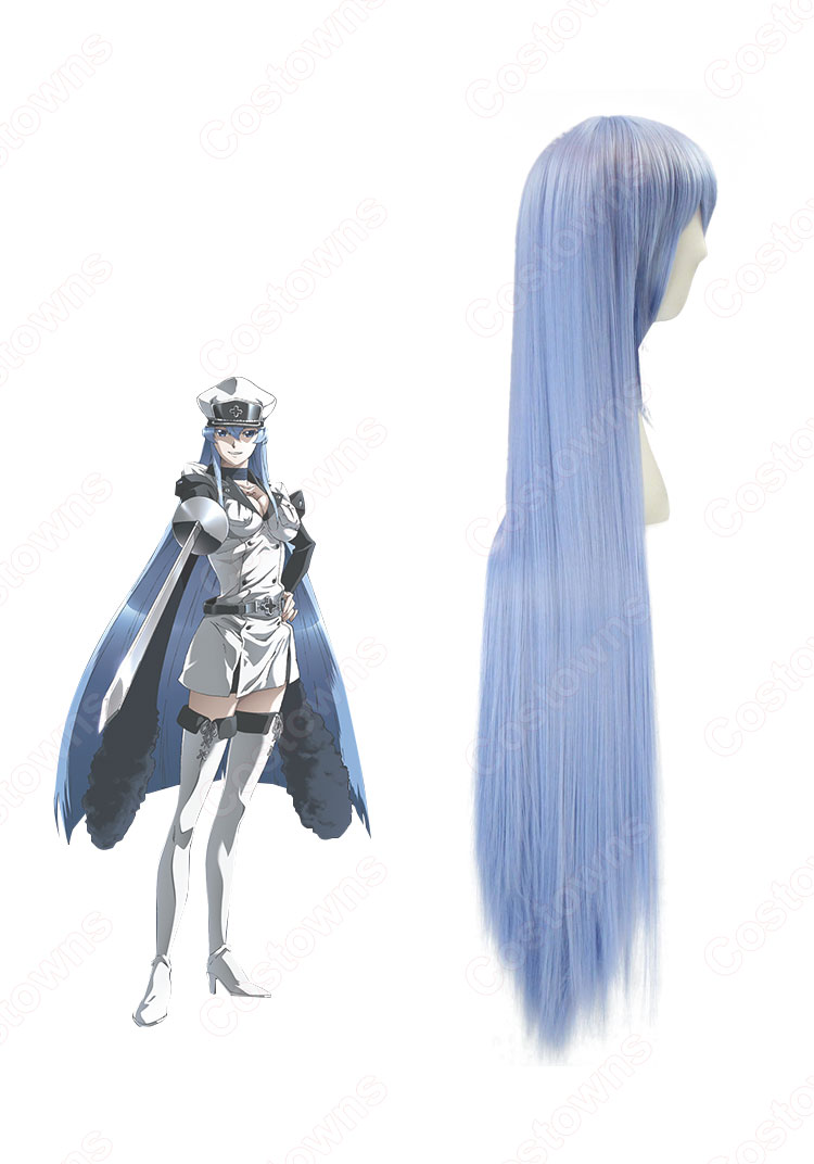 エスデス（えすです） コスプレウィッグ 『アカメが斬る！(アカメがきる)』 耐熱かつら cosplay wig 通販-2