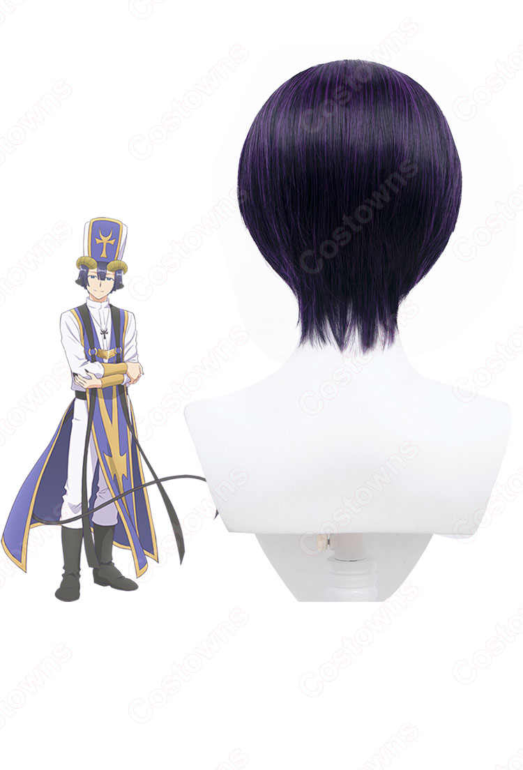 あくましゅうどうし レオナール コスプレウィッグ 『魔王城で