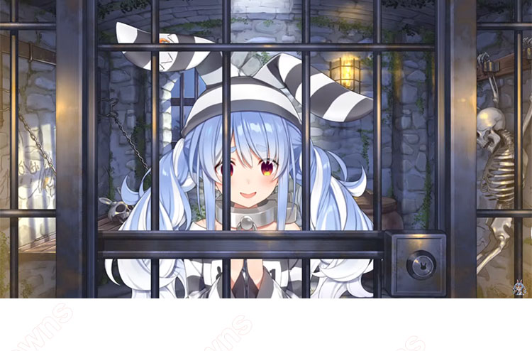 ホロライブ　Vtuber 兎田ぺこら　囚人服　フルセット