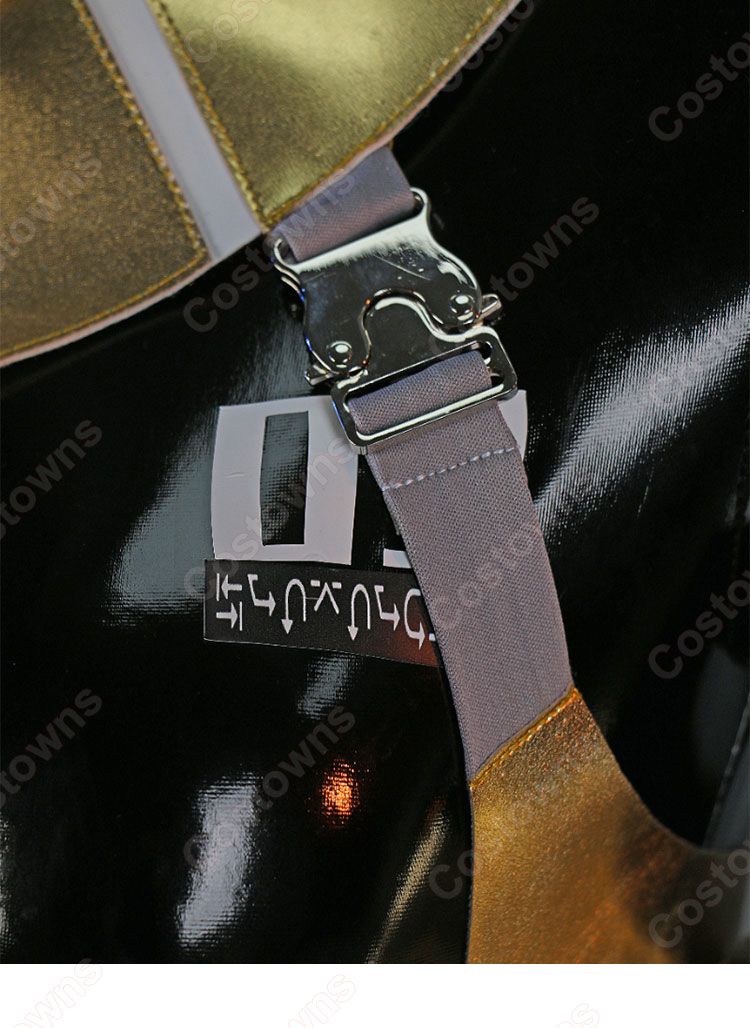 漆黒の守護者「HEMET NETHEL」 コスプレ衣装 イラストレーター neco 『FALSLANDER』 cosplay 仮装 変装-9