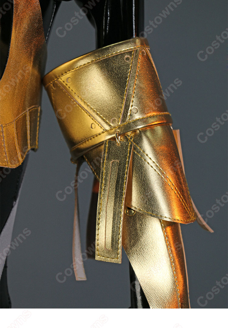 漆黒の守護者「HEMET NETHEL」 コスプレ衣装 イラストレーター neco 『FALSLANDER』 cosplay 仮装 変装-15