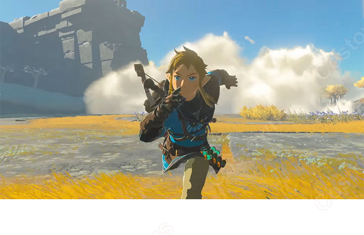 ゼルダの伝説 ティアーズ オブ ザ キングダム リンク コスプレ衣装-1