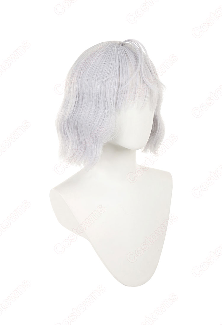 H×H ネフェルピトー コスプレ ウィッグ 『HUNTER×HUNTER』 cosplay wig 通販-3