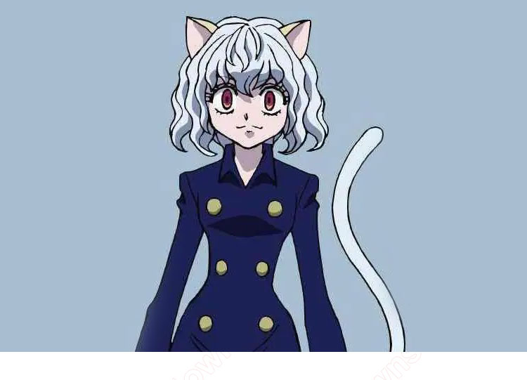 H×H ネフェルピトー コスプレ衣装 『HUNTER×HUNTER』 cosplay 仮装 変装-1