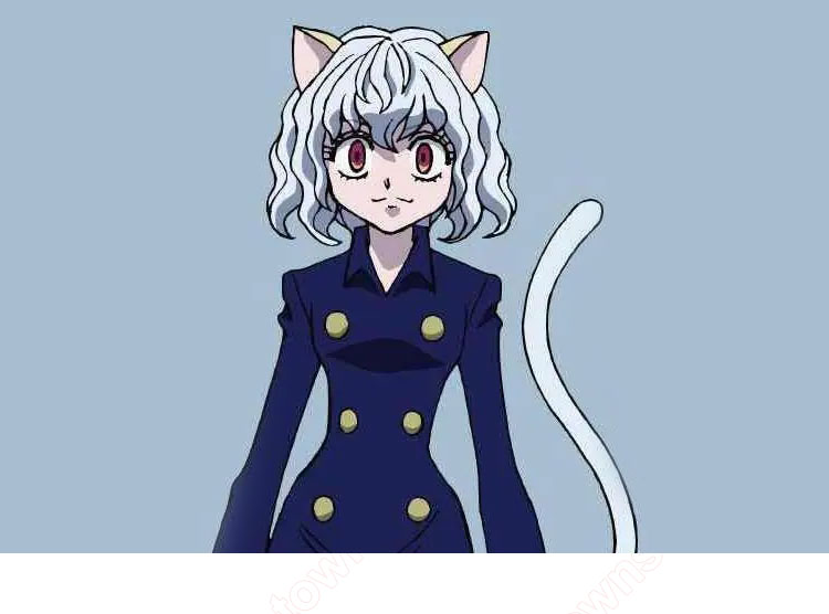 H×H ネフェルピトー コスプレ ウィッグ 『HUNTER×HUNTER』 cosplay wig 通販-1