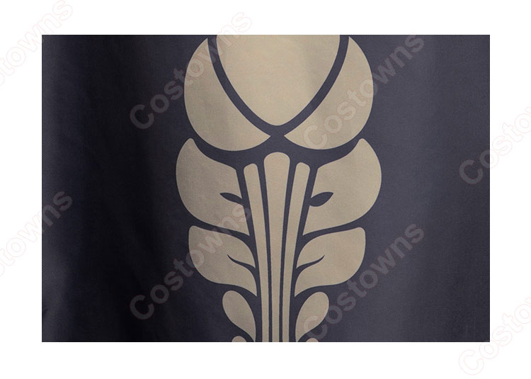 ゼルダの伝説 ティアーズ オブ ザ キングダム ゼルダ コスプレ衣装 マント-4