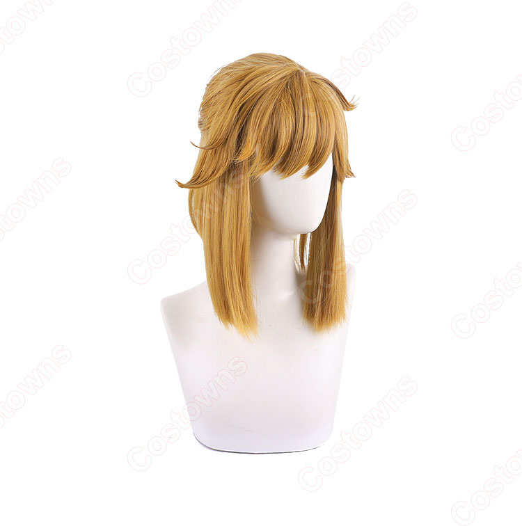 ゼルダの伝説 ティアーズ オブ ザ キングダム リンク コスプレウィッグ-3