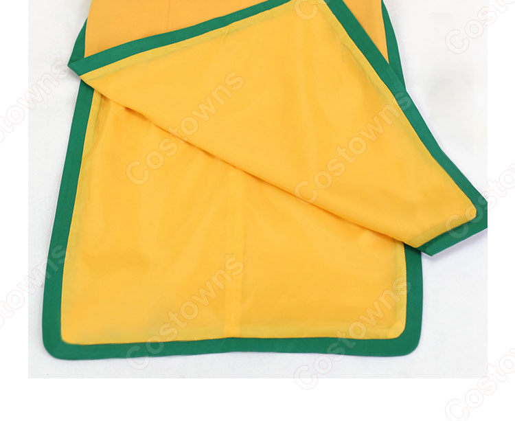 ポケットモンスターSPECIAL イエロー・デ・トキワグローブ コスプレ衣装-7