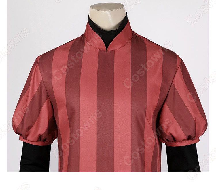 ゼルダの伝説 ティアーズ オブ ザ キングダム リンク ハイラル王国 近衛兵 コスプレ衣装-11