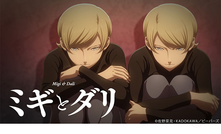 『ミギとダリ』秘鳥 ミギ ダリ コスプレウィッグ-1