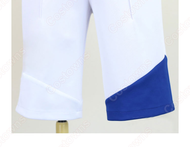 ポケモンSV DLC 後編・藍の円盤 アオイ ブルーベリー学園 春 制服 コスプレ衣装-6