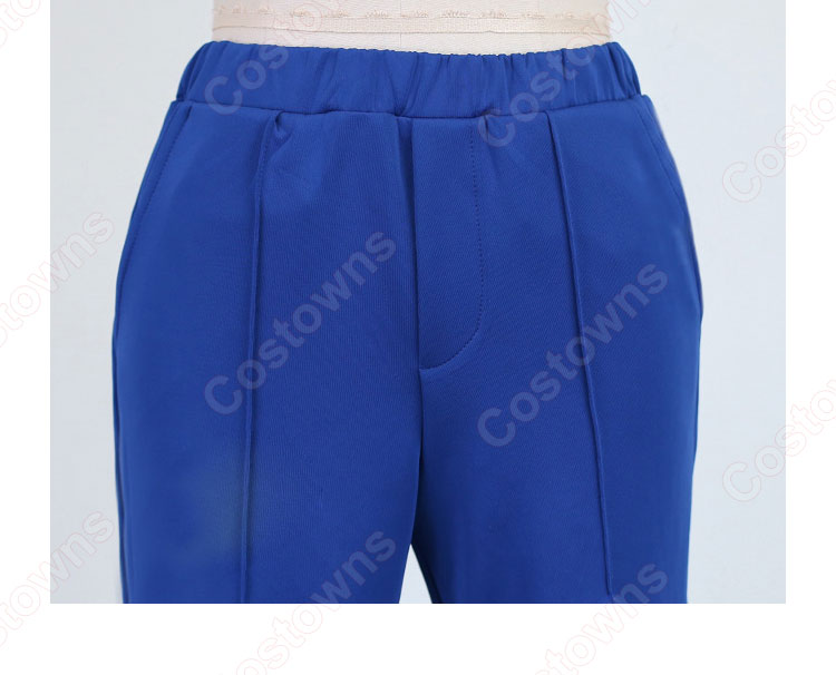 ポケモンSV DLC 後編・藍の円盤 ハルト ブルーベリー学園 秋 制服  コスプレ衣装-6