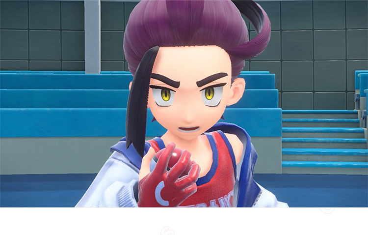 ポケモンSV ゼロの秘宝 後編・藍の円盤 スグリ コスプレ衣装
