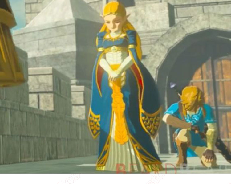 ゼルダの伝説 ブレスオブザワイルド 厄災の黙示録(王女 ゼルダの伝説 ブレスオブザワイルド 厄災の黙示録(王女
