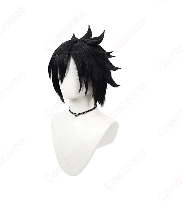 FAIRY TAIL グレイ・フルバスター コスプレウィッグ-4