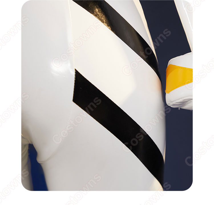 ヱヴァンゲリヲン新劇場版 綾波レイ ロングヘアVer. コスプレ ヱヴァンゲリヲン新劇場版 綾波レイ ロングヘアVer. コスプレ
