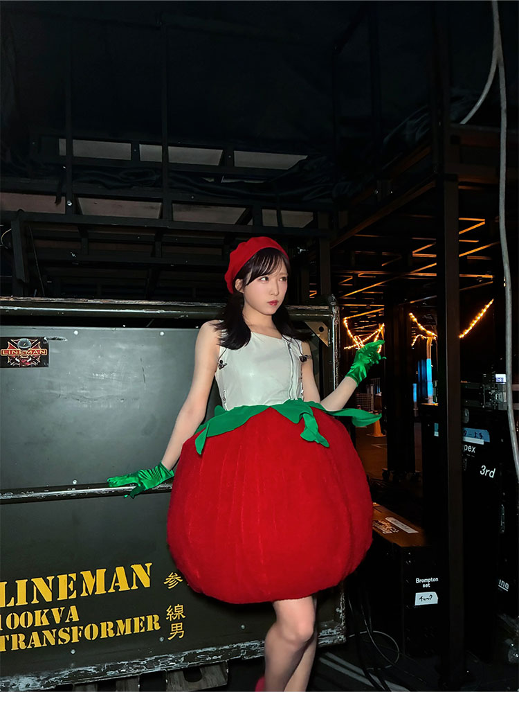 AKB48 野菜シスターズ 前田敦子 新井彩永 トマト 野菜衣装 コスプレ衣装 アイドル衣装-5
