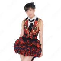 AKB48 「第６２回NHK紅白歌合戦」 本番の衣装 演出服 ライブ衣装 コスプレ衣装 アイドル衣装 ステージ衣装 赤チェック柄衣装(202×202)
