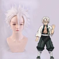 風柱 不死川実弥 (しなずかわさねみ) コスプレウィッグ 『鬼滅の刃』の登場人物のウィッグ(コスプレウィッグ)