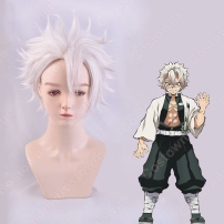 風柱 不死川実弥 (しなずかわさねみ) コスプレウィッグ 『鬼滅の刃』の登場人物のウィッグ(202×202)