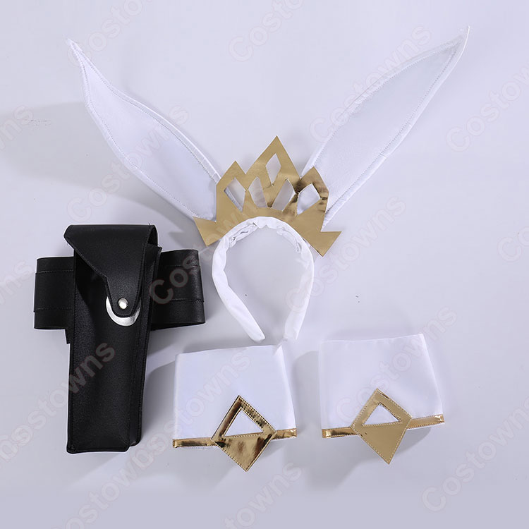 FGO 水着獅子王 バニー槍王 コスプレ衣装『Fate/Grand Order』 バニー