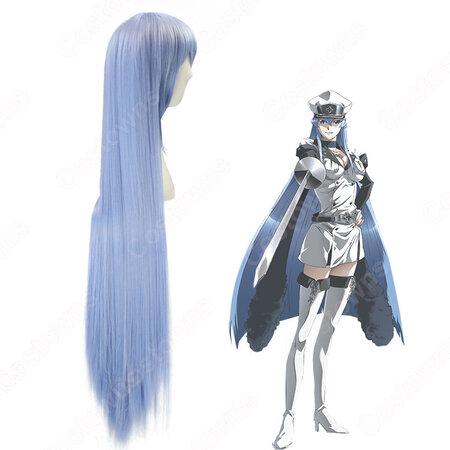 エスデス えすです コスプレウィッグ アカメが斬る アカメがきる 耐熱かつら Cosplay Wig 通販 Costowns