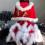 クリスマス コスプレ衣装 バニーガール コスチューム レディース セクシー メイド服 クリスマス テーマパーティー衣装 大人用 サンタ衣装 3