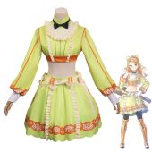 ファイアーエムブレム 暗黒竜　フィーナコスプレ衣装 ファイアーエムブレム 封印の剣 リリーナ Lilina コスプレ衣装 abccos製 「受注生産」