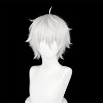 ブルーロック 凪誠士郎 コスプレウィッグ(コスプレウィッグ)