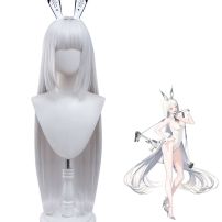 勝利の女神：NIKKE ブラン コスプレウィッグ(コスプレウィッグ)