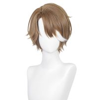 崩壊：スターレイル ヴェルト・ヨウ コスプレウィッグ(コスプレウィッグ)